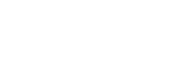 Small Business Elevate